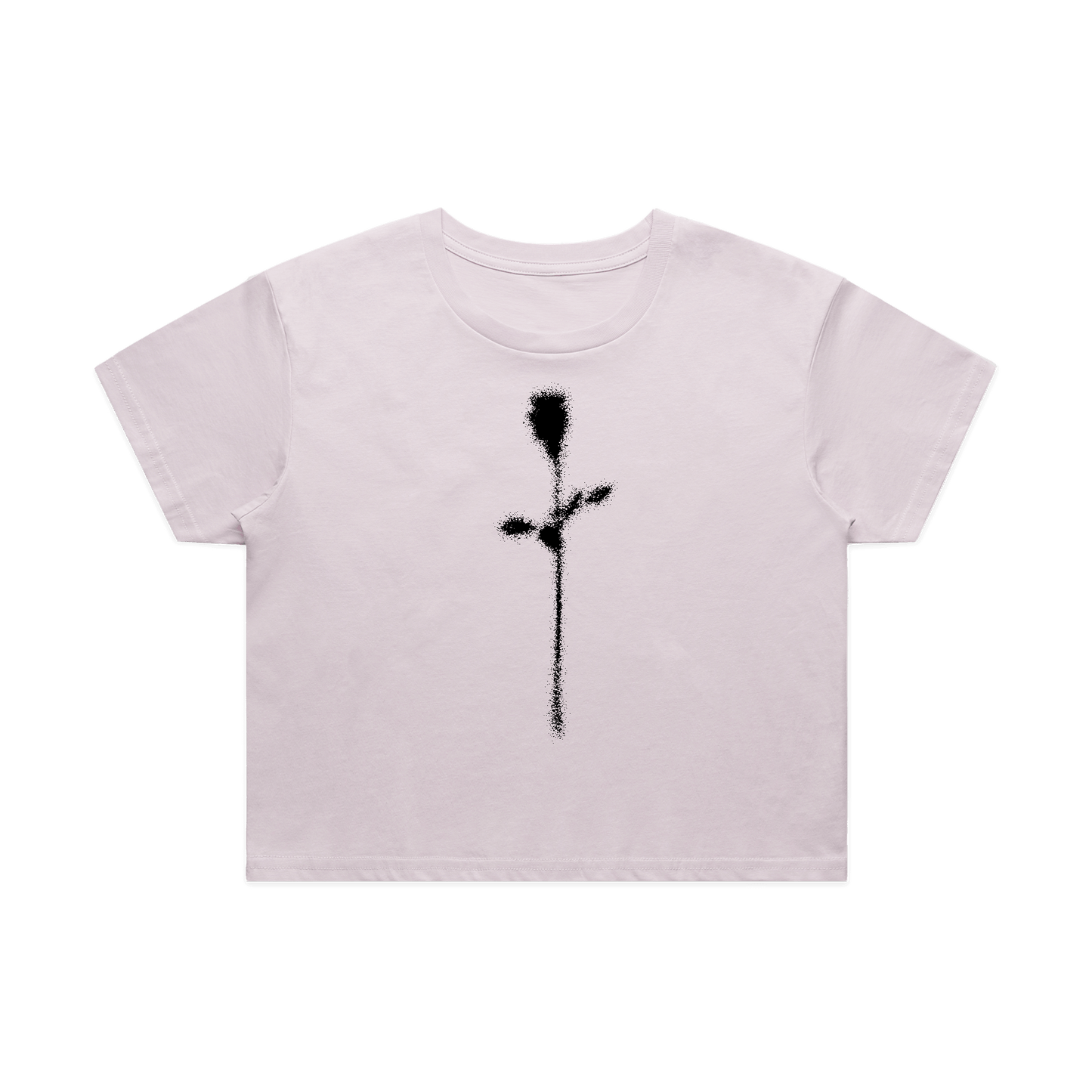 Faded Rose Crop