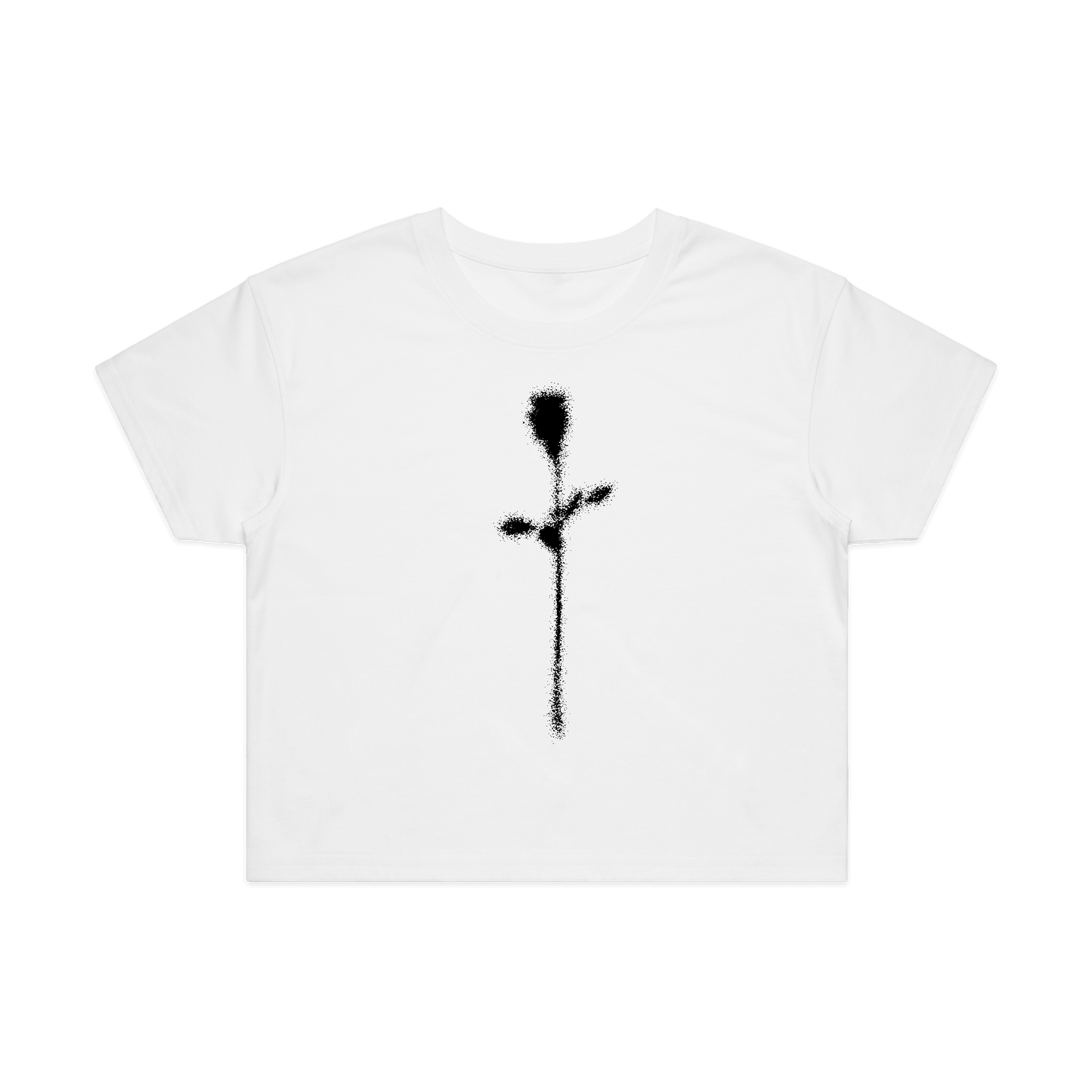 Faded Rose Crop