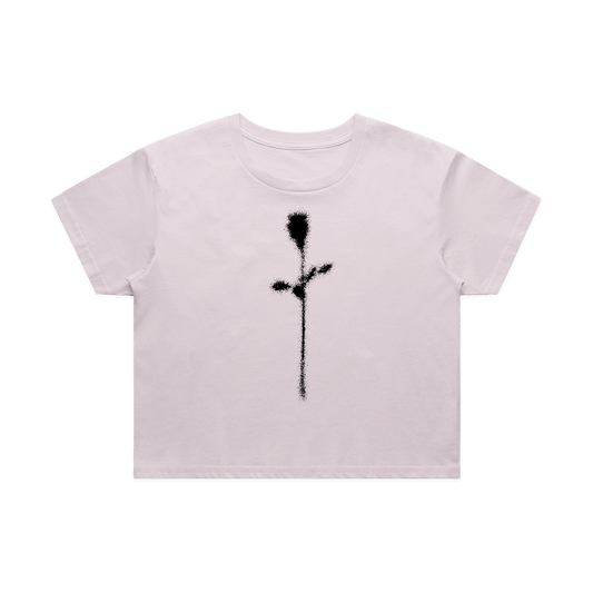 Faded Rose Crop