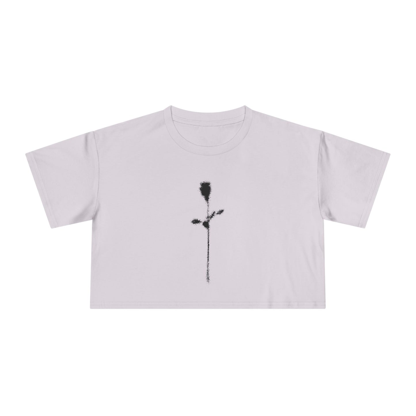 Faded Crop Tee